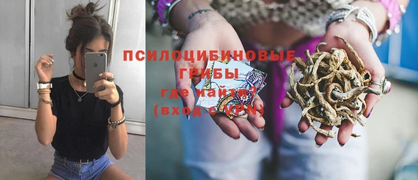ALPHA PVP Верхний Тагил
