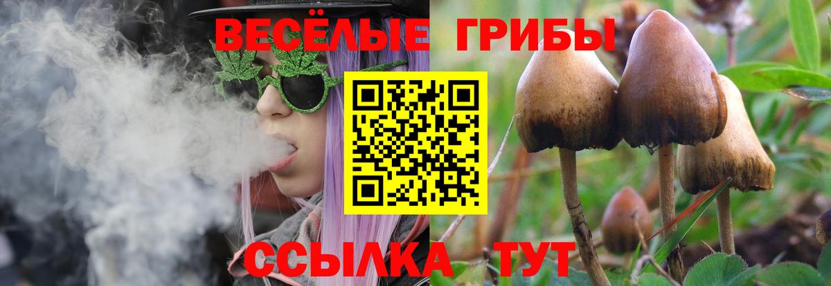 Псилоцибиновые грибы ЛСД  Вятские Поляны 