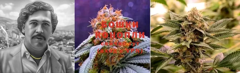 OMG маркетплейс  Вятские Поляны  Бошки Шишки THC 21% 